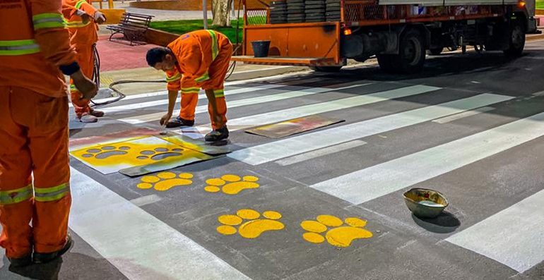  Conheça a Faixa de “Patadestre”, em União dos Palmares (AL), pintada com patas para travessia de animais