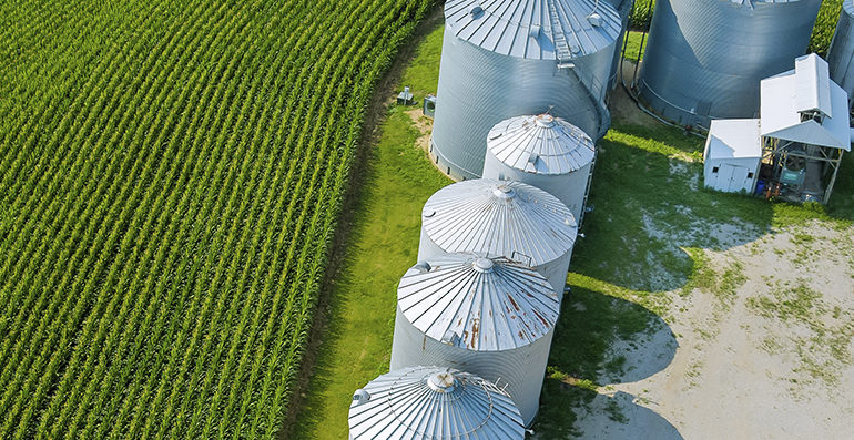  Agroecologia: comissão aprovou o Projeto de Lei 6529/19 que cria um marco regulatório